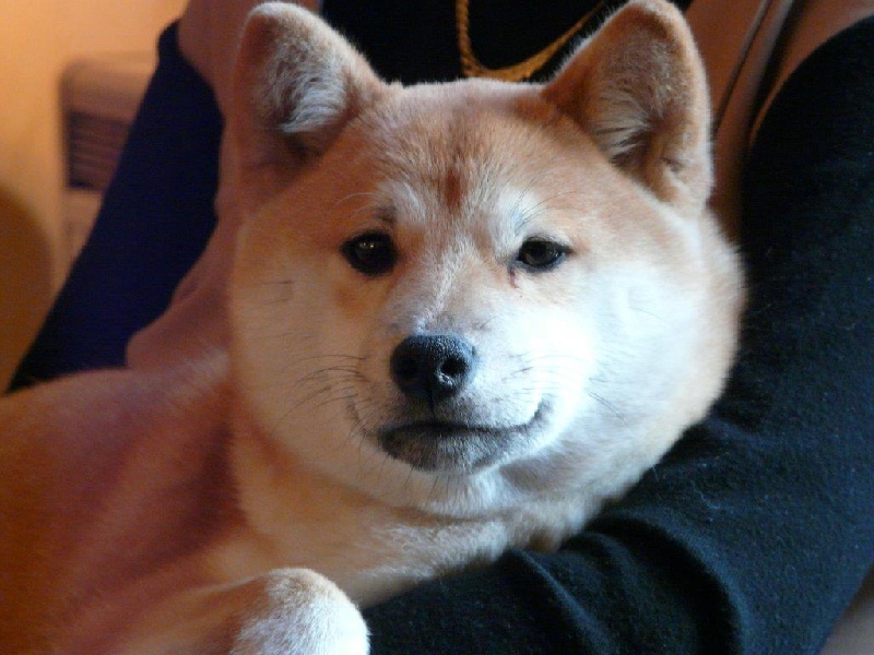 Dairen des portes de la moria